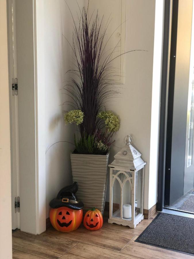 Dom Na Borowkowym Wzgorzu Appartement Palesnica Buitenkant foto