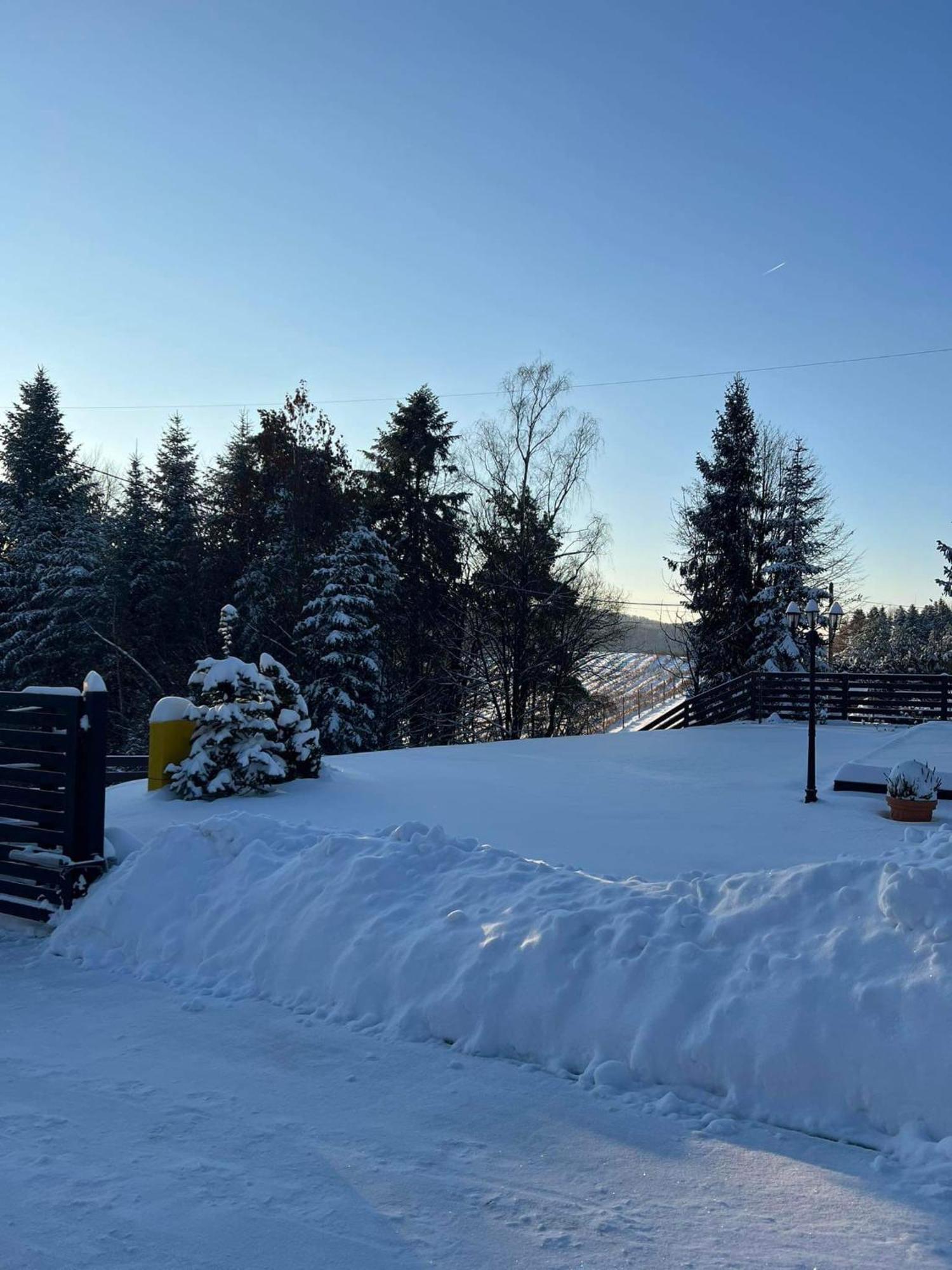 Dom Na Borowkowym Wzgorzu Appartement Palesnica Buitenkant foto