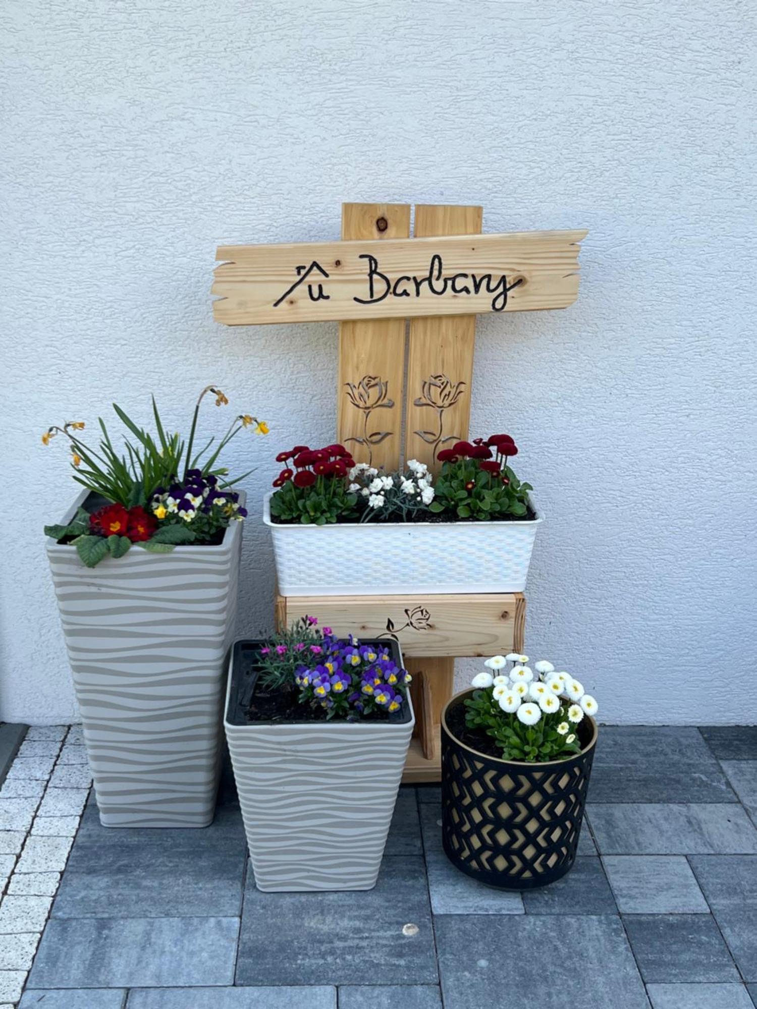 Dom Na Borowkowym Wzgorzu Appartement Palesnica Buitenkant foto