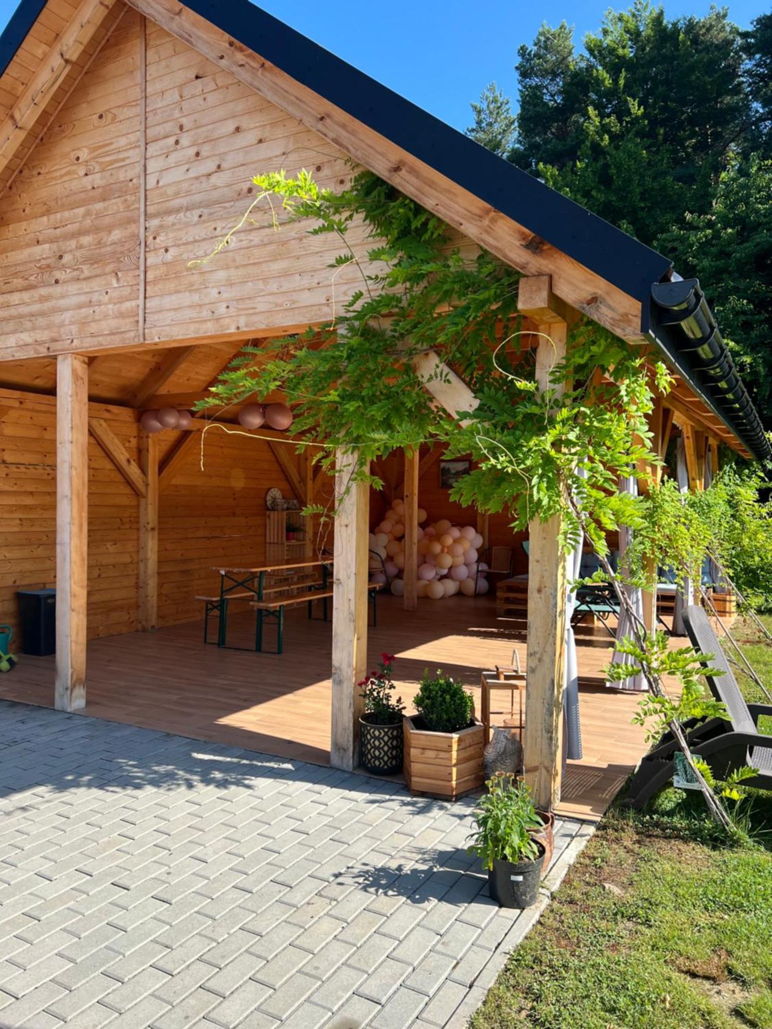 Dom Na Borowkowym Wzgorzu Appartement Palesnica Buitenkant foto